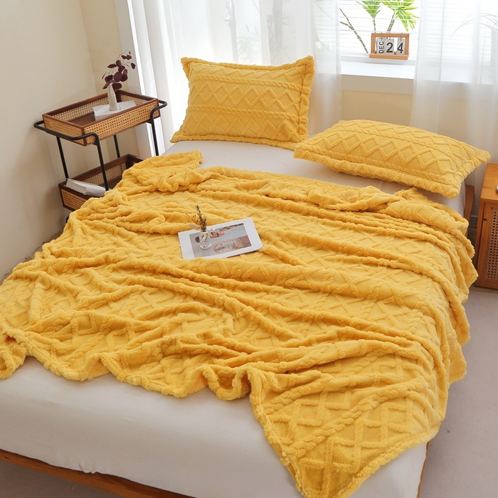 91家纺网 家纺一手货源 找家纺 （总）栩裕纺织 2025新款双面塔芙绒毛毯家用毯子卷边款