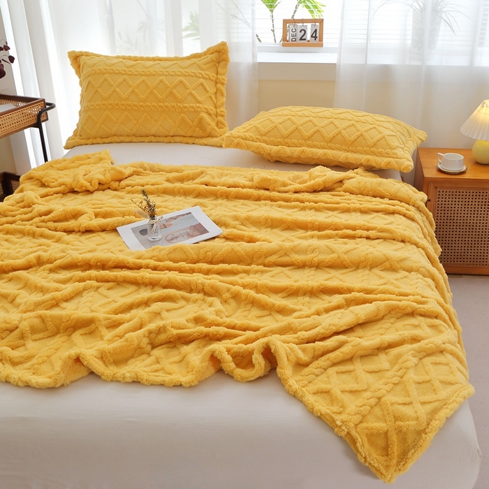 91家纺网 家纺一手货源 找家纺 （总）栩裕纺织 2025新款双面塔芙绒毛毯家用毯子卷边款