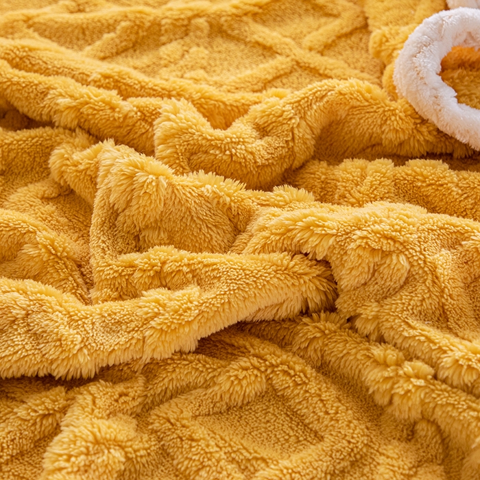 91家纺网 家纺一手货源 找家纺 （总）栩裕纺织 2025新款双面塔芙绒毛毯家用毯子包边款