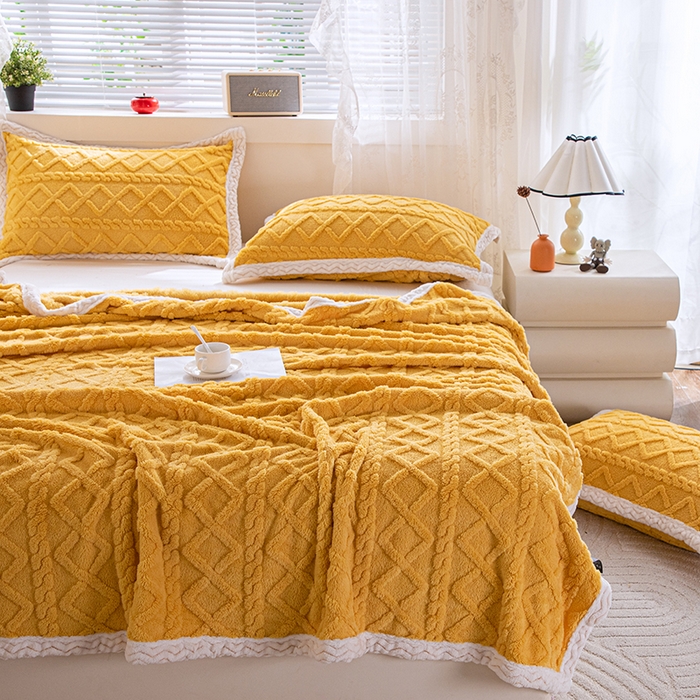 91家纺网 家纺一手货源 找家纺 （总）栩裕纺织 2025新款双面塔芙绒毛毯家用毯子包边款