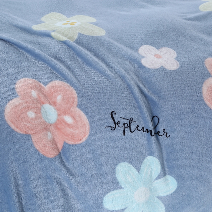 91家纺网 家纺一手货源 找家纺 伊凡毯业 2025新款260克云貂绒毛毯盖毯子直播爆款跑量毛毯 花晨月夕