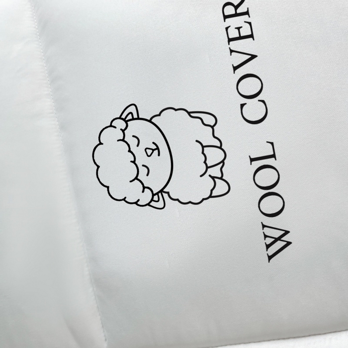 91家纺网 家纺一手货源 找家纺 （总）爱宝被业 2025新款亲肤舒适A类100%羊毛填充亲肤棉羊毛被被子被芯