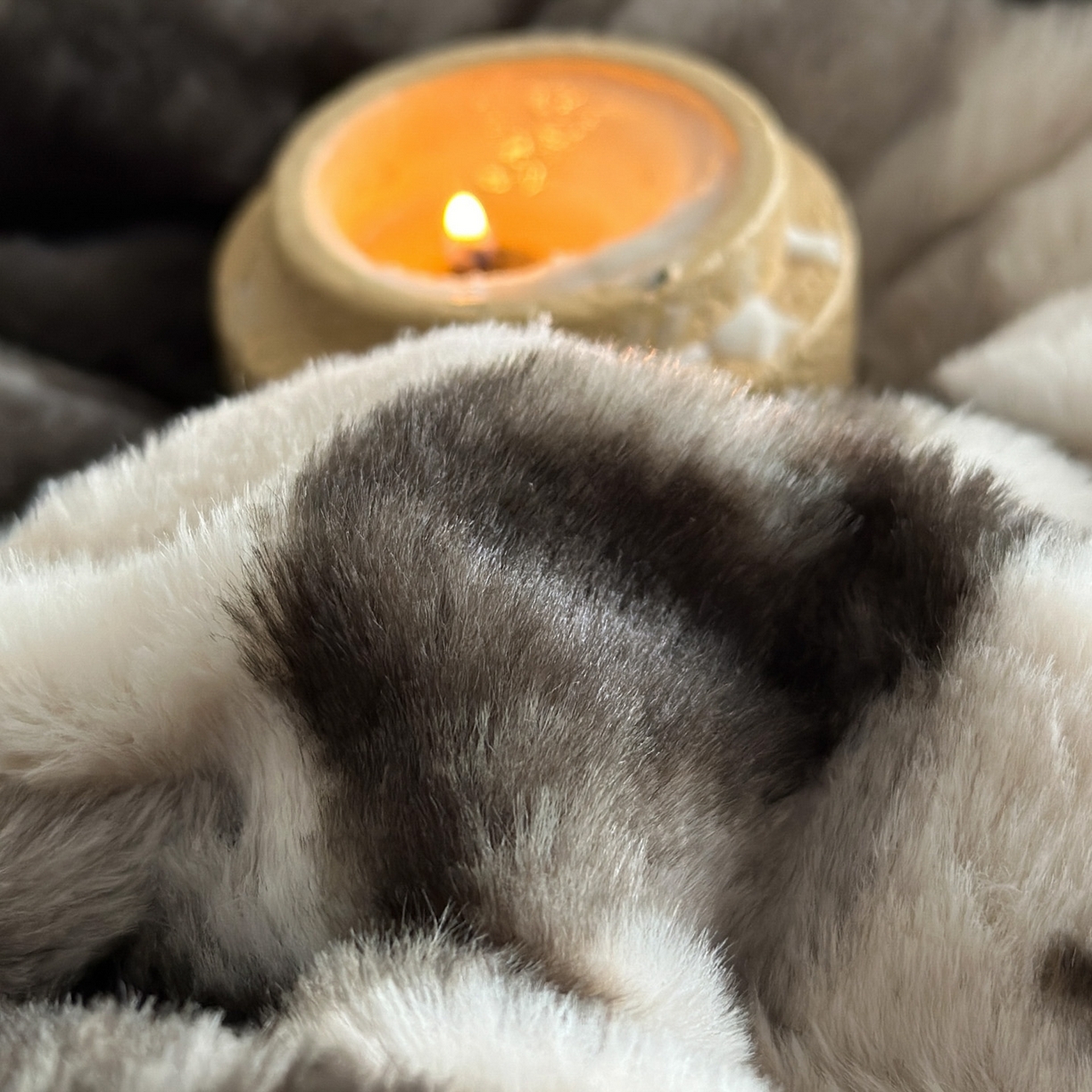 91家纺网 家纺一手货源 找家纺 （总）子曰 2025新款A类法式小香风黑边款兔绒牛奶绒四件套