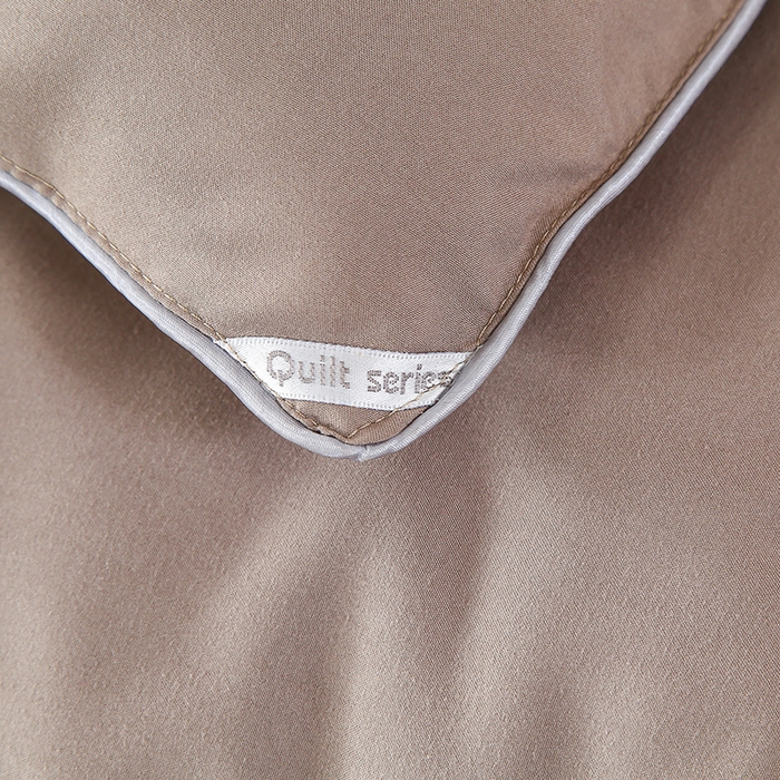 91家纺网 家纺一手货源 找家纺 畅畅家纺 2025新款洛卡棉抗菌纤维亲肤大豆被春秋被冬被被芯 高雅灰