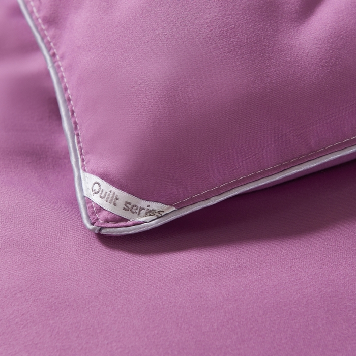 91家纺网 家纺一手货源 找家纺 畅畅家纺 2025新款洛卡棉抗菌纤维亲肤大豆被春秋被冬被被芯 玫瑰紫