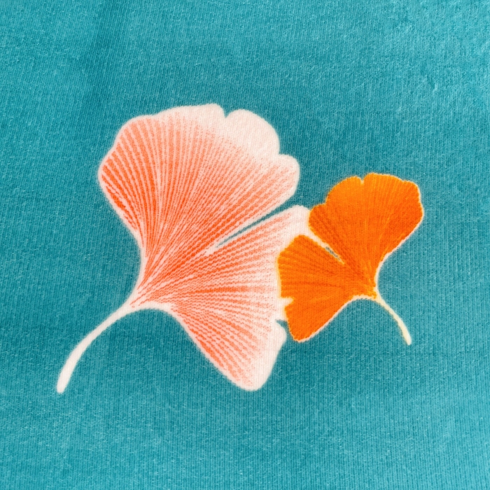 91家纺网 家纺一手货源 找家纺 艾橙家纺 2025秋冬新款高克重牛奶绒印花床单单品床单床单单件 晚秋