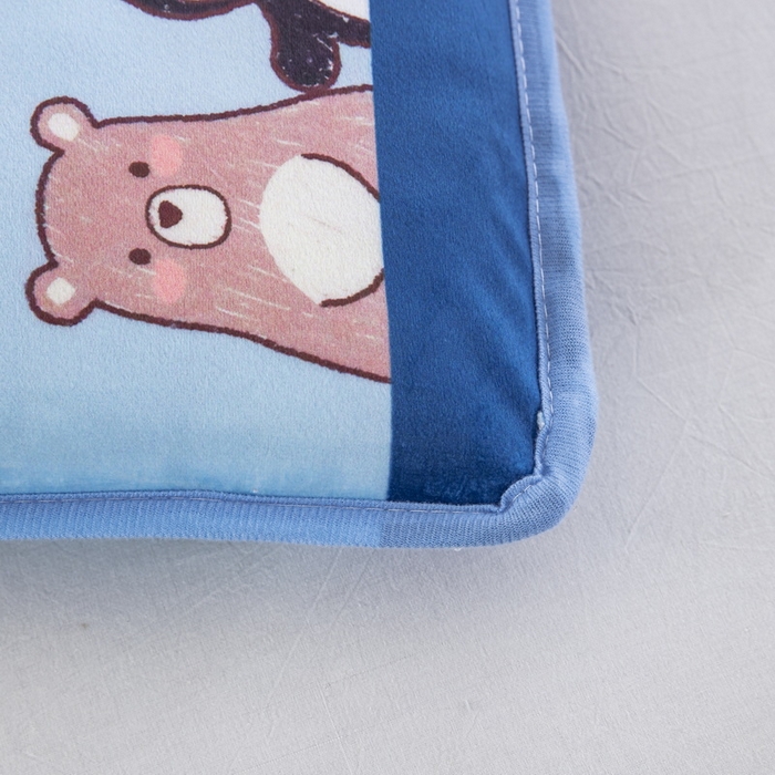 91家纺网 家纺一手货源 找家纺 大黄蜂家居家纺 2025新款秋冬水晶绒儿童包边定位枕套枕头枕芯 动物乐园