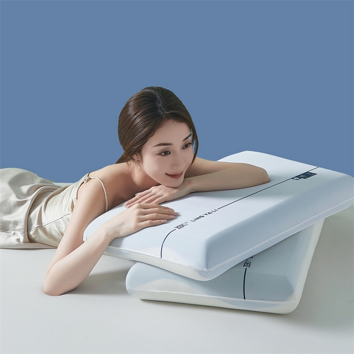 91家纺网 家纺一手货源 找家纺 （总）胜诗梵 2025新款枕头双芯和三芯