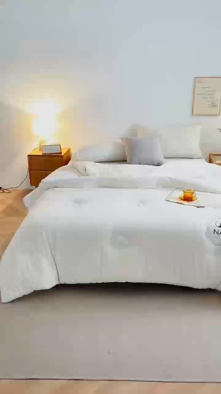 91家纺网 家纺一手货源 找家纺 （总）金喜 2025新款秋冬新款水洗棉100%新疆棉花被被子被芯春秋被加厚冬被