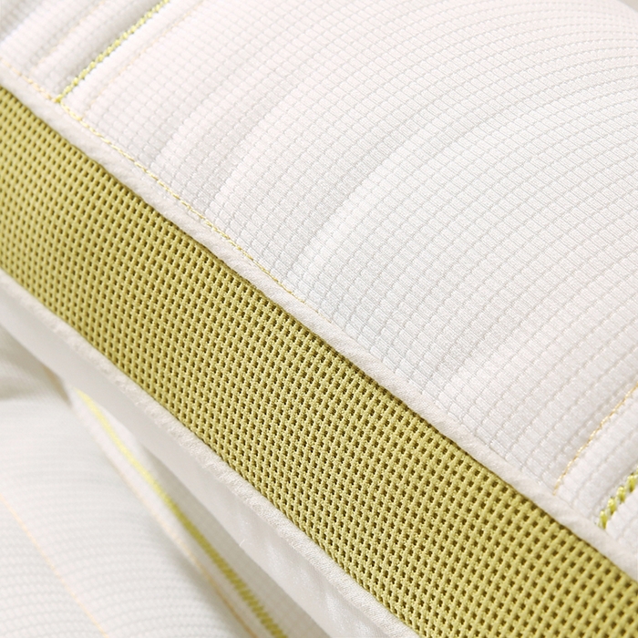 91家纺网 家纺一手货源 找家纺 金牛枕芯 2025新款滑板熊亲子枕决明子枕头乳胶夹层儿童枕成人枕头枕芯 滑板熊-绿