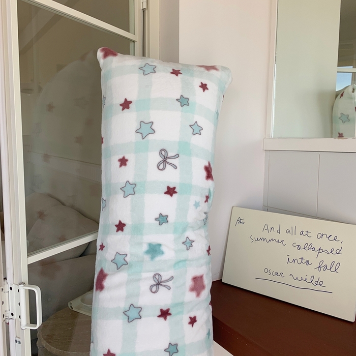 91家纺网 家纺一手货源 找家纺 桃喜 2025新款ins牛奶绒印花长抱枕 薄荷奶咖星星