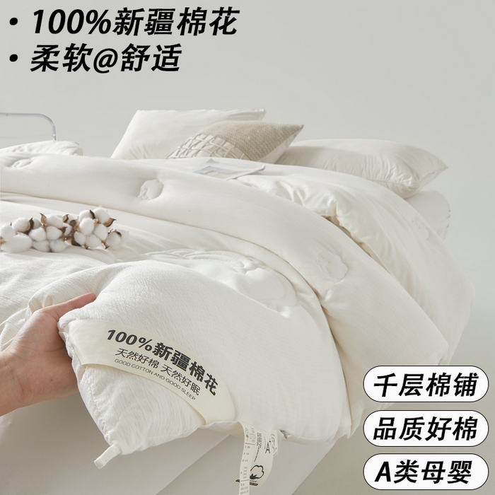 艾特你 2025新款水洗棉皱皱纱新疆棉花被子被芯 新疆棉-米白