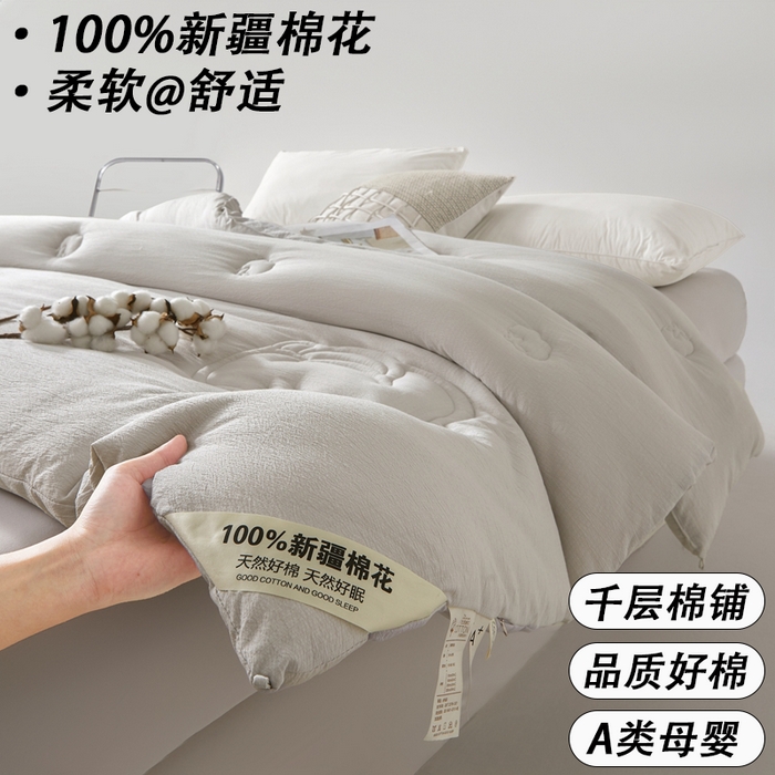 艾特你 2025新款水洗棉皱皱纱新疆棉花被子被芯 新疆棉-灰色
