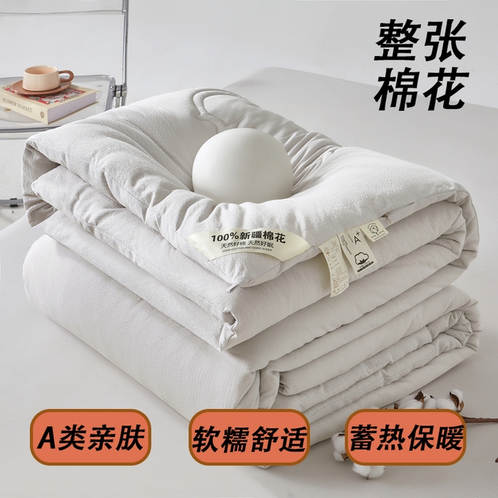 91家纺网 家纺一手货源 找家纺 艾特你 2025新款水洗棉皱皱纱新疆棉花被子被芯 新疆棉-灰色