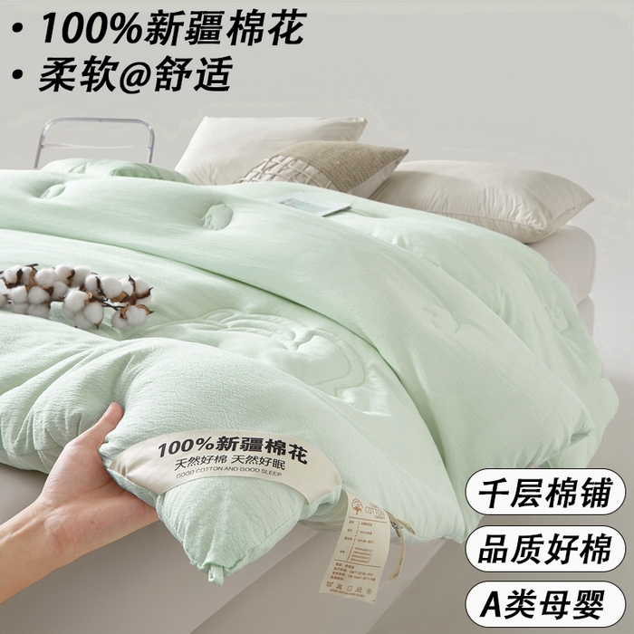艾特你 2025新款水洗棉皱皱纱新疆棉花被子被芯 新疆棉-艾绿