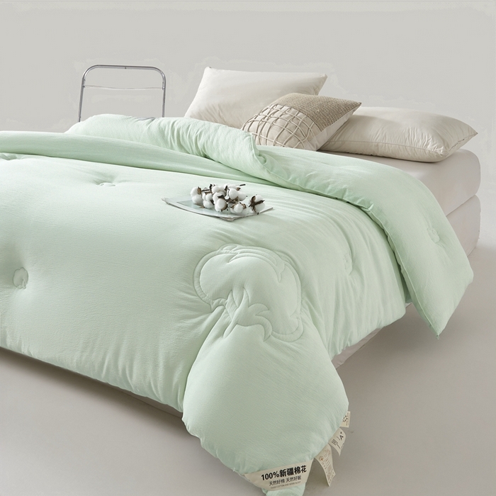 91家纺网 家纺一手货源 找家纺 艾特你 2025新款水洗棉皱皱纱新疆棉花被子被芯 新疆棉-艾绿