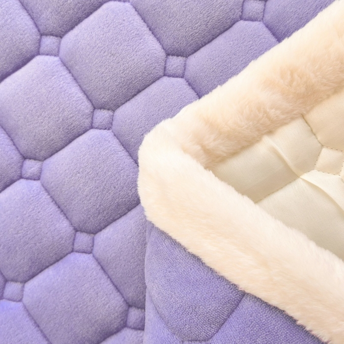 91家纺网 家纺一手货源 找家纺 爱屋及屋 2025新款牛奶绒毛巾绣床垫-学生床 luck狗-浅紫