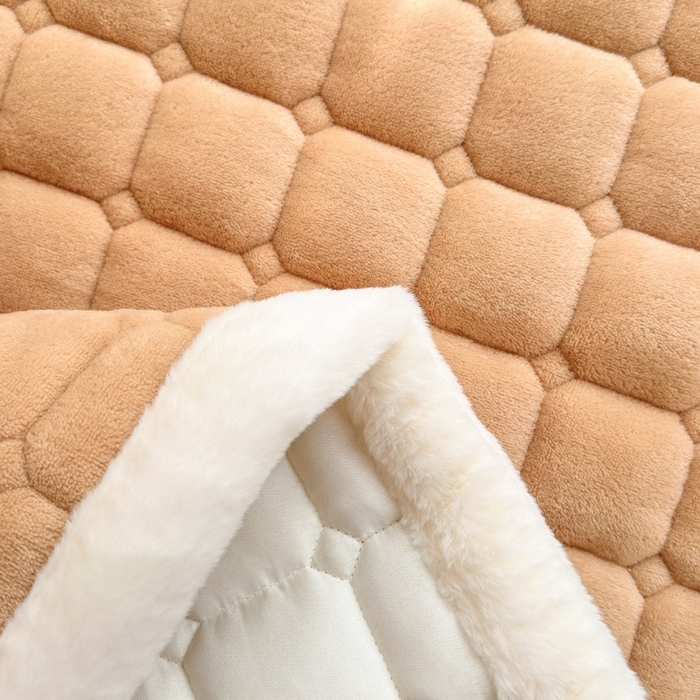 91家纺网 家纺一手货源 找家纺 爱屋及屋 2025新款牛奶绒毛巾绣床垫-学生床 luck狗-卡其