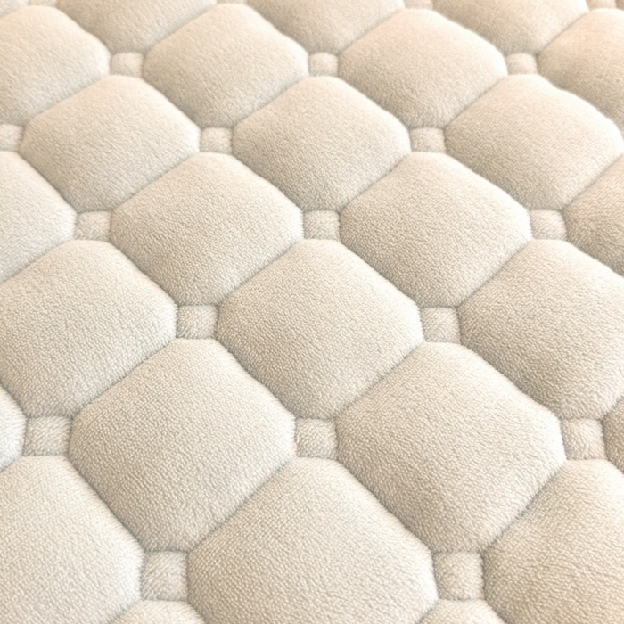 91家纺网 家纺一手货源 找家纺 爱屋及屋 2025新款牛奶绒毛巾绣床垫-学生床 luck狗-米白