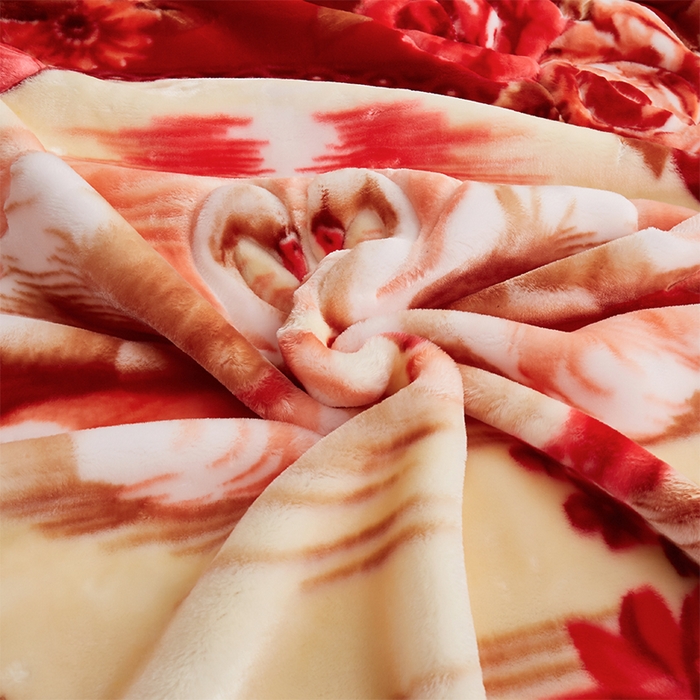 91家纺网 家纺一手货源 找家纺 雅诗帛 【2025年新款】双层加厚冬季毛毯拉舍尔毛毯加绒特厚婚庆结婚送礼毯子盖毯珊瑚绒 情投意合