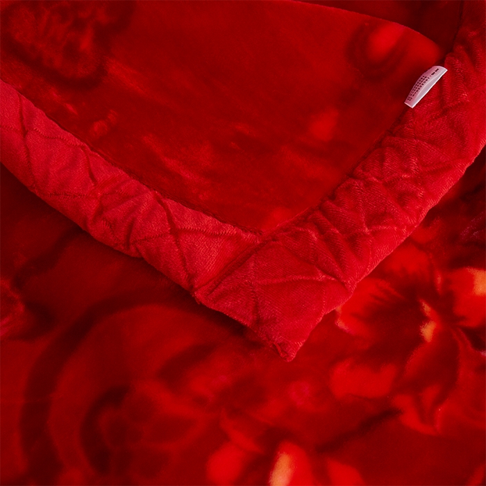 91家纺网 家纺一手货源 找家纺 雅诗帛 【2025年新款】双层加厚冬季毛毯拉舍尔毛毯加绒特厚婚庆结婚送礼毯子盖毯珊瑚绒 新郎新娘