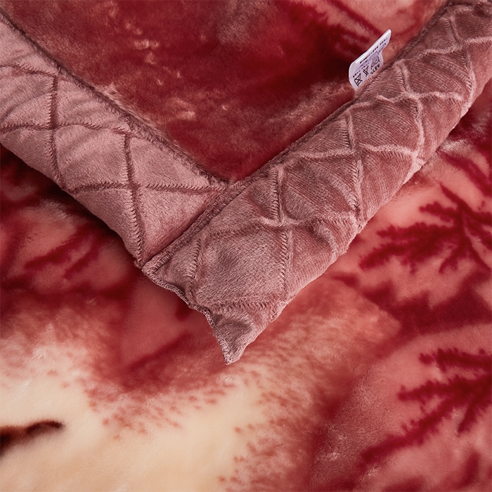 91家纺网 家纺一手货源 找家纺 雅诗帛 【2025年新款】双层加厚冬季毛毯拉舍尔毛毯加绒特厚婚庆结婚送礼毯子盖毯珊瑚绒 一见春秋