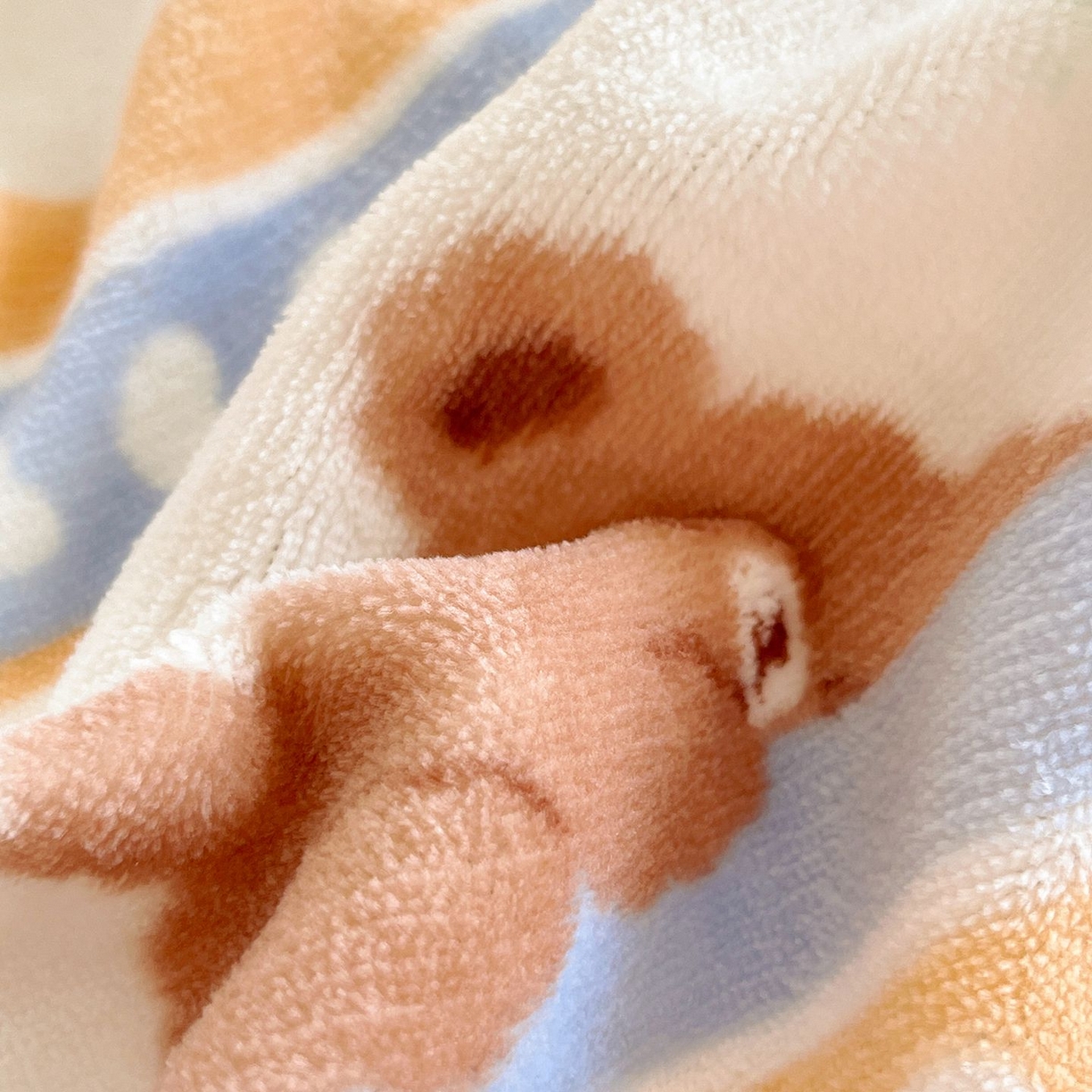 91家纺网 家纺一手货源 找家纺 金爱家 2025新款A类ins小清新少女奶油卡通可爱加厚牛奶绒四件套 绒-可爱熊