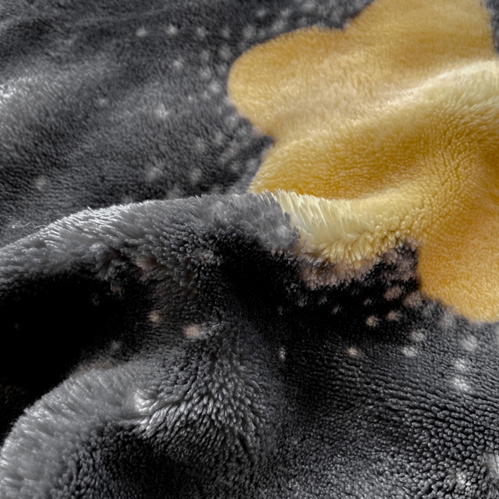 91家纺网 家纺一手货源 找家纺 品乐家纺 2025新款秋冬高克重牛奶绒保暖床单单品床单单件床单 星空