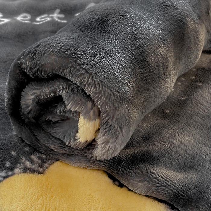 91家纺网 家纺一手货源 找家纺 品乐家纺 2025新款秋冬高克重牛奶绒保暖床单单品床单单件床单 星空