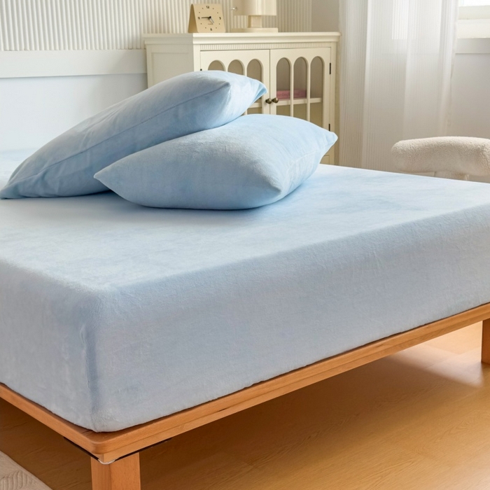 璐维斯 2025新款秋冬保暖牛奶绒床笠床垫套保护套跨境外贸电商全尺寸现货 浅蓝