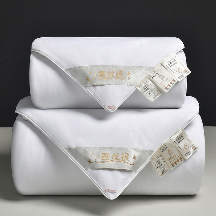 91家纺网 家纺一手货源 找家纺 （总）爱顿家纺 2025新款A类磨毛压花蚕丝被