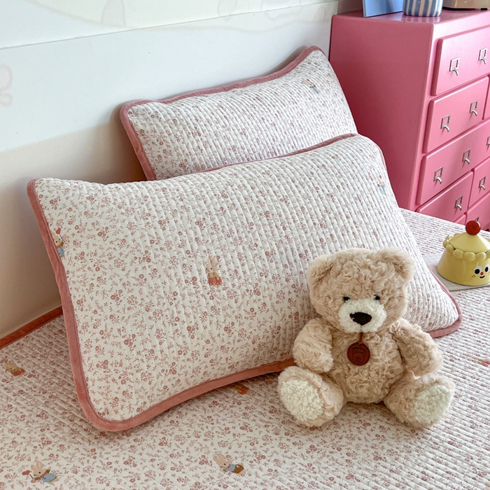 茉夕家纺 2025新款跑量款暖绒纯棉印花水洗单枕套 枕套单件 甜豆胖丁
