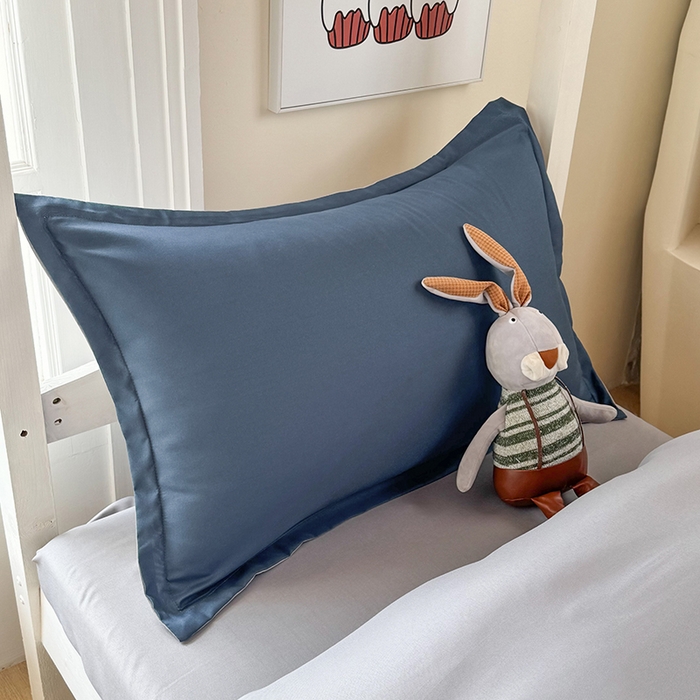 91家纺网 家纺一手货源 找家纺 南通菲度家纺 2025新款高克重芦荟棉四件套-宿舍第三批 宾利蓝-银灰