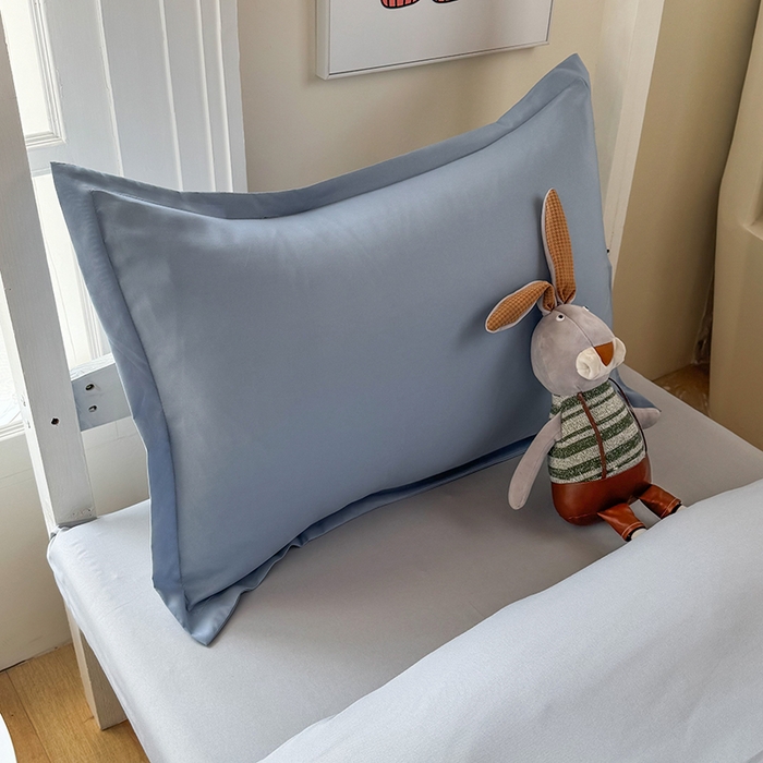 91家纺网 家纺一手货源 找家纺 南通菲度家纺 2025新款高克重芦荟棉四件套-宿舍第三批 雾蓝-银灰