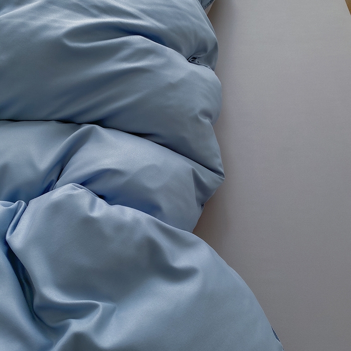 91家纺网 家纺一手货源 找家纺 南通菲度家纺 2025新款高克重芦荟棉四件套-大床 雾蓝+银灰