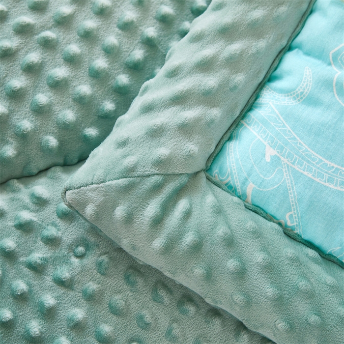 91家纺网 家纺一手货源 找家纺 黛妮雅2025新款全棉豆豆绒春秋被学生单双人被子被芯冬被（提供买家秀）梦百合