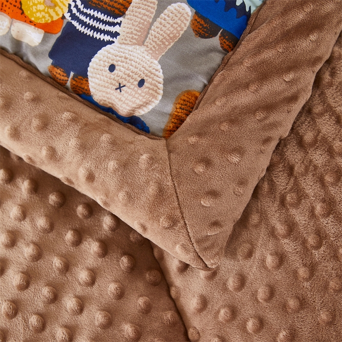 91家纺网 家纺一手货源 找家纺 黛妮雅2025新款全棉豆豆绒春秋被学生单双人被子被芯冬被（提供买家秀）吉祥兔