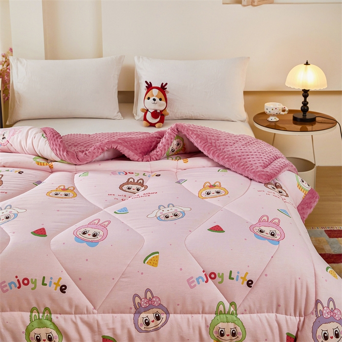 91家纺网 家纺一手货源 找家纺 黛妮雅2025新款全棉豆豆绒春秋被学生单双人被子被芯冬被（提供买家秀）拉布布