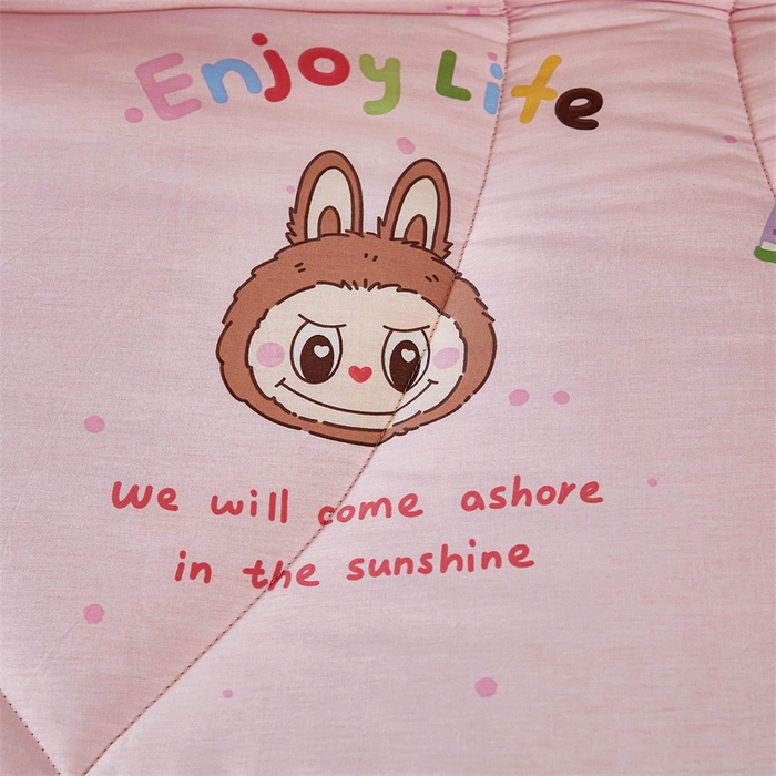 91家纺网 家纺一手货源 找家纺 黛妮雅2025新款全棉豆豆绒春秋被学生单双人被子被芯冬被（提供买家秀）拉布布