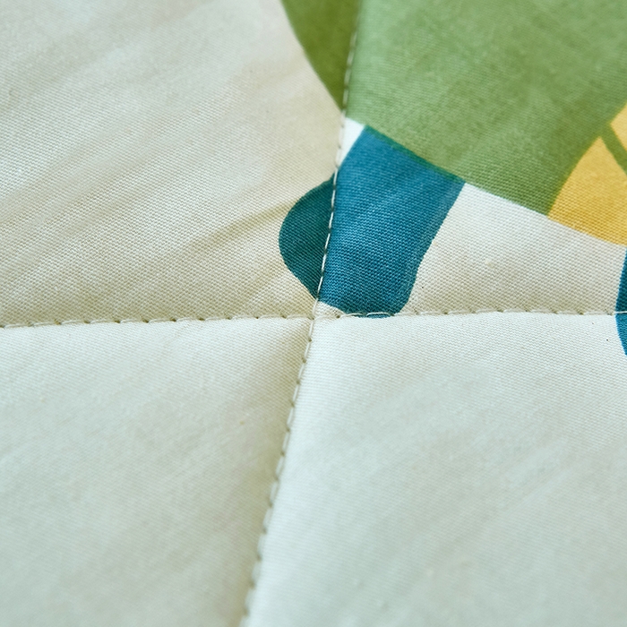 91家纺网 家纺一手货源 找家纺 黛妮雅2025新款全棉豆豆绒春秋被学生单双人被子被芯冬被（提供买家秀）恐龙谷