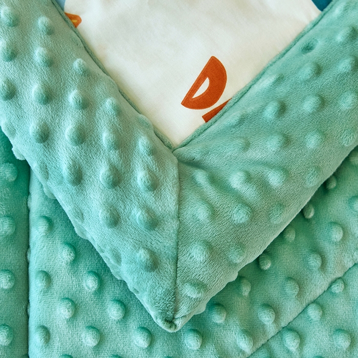 91家纺网 家纺一手货源 找家纺 黛妮雅2025新款全棉豆豆绒春秋被学生单双人被子被芯冬被（提供买家秀）恐龙谷