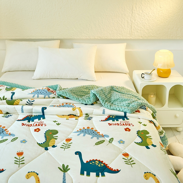 91家纺网 家纺一手货源 找家纺 黛妮雅2025新款全棉豆豆绒春秋被学生单双人被子被芯冬被（提供买家秀）恐龙谷