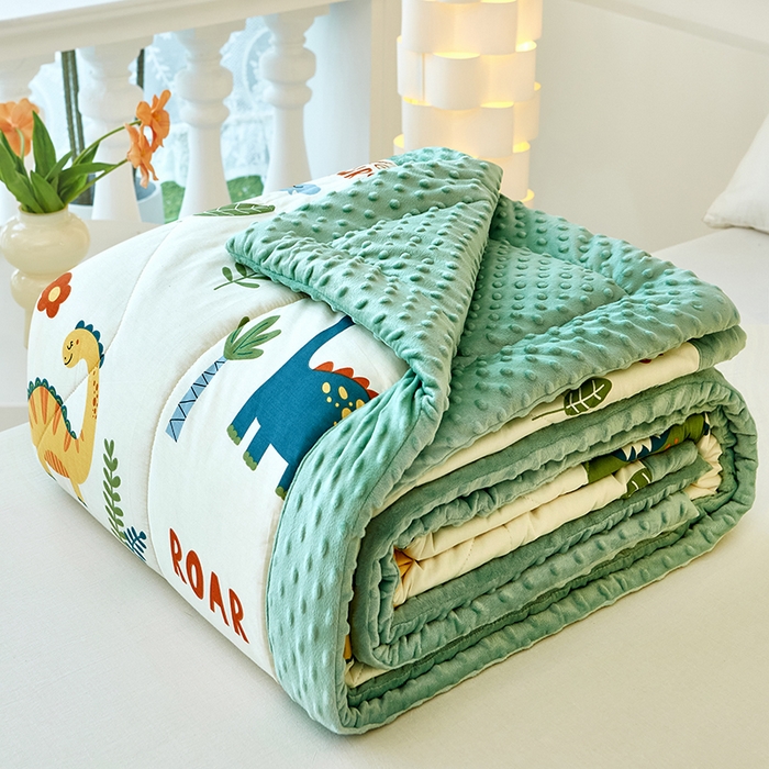 91家纺网 家纺一手货源 找家纺 黛妮雅2025新款全棉豆豆绒春秋被学生单双人被子被芯冬被（提供买家秀）恐龙谷