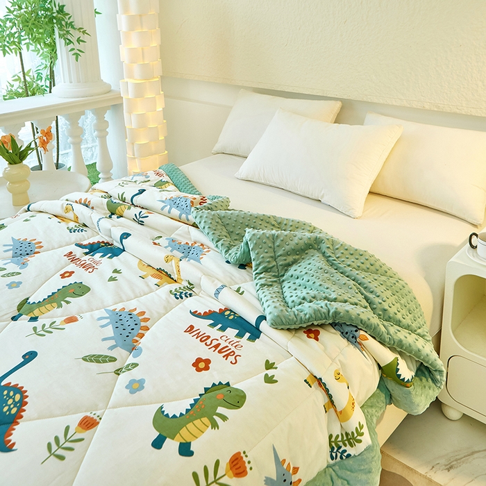 91家纺网 家纺一手货源 找家纺 黛妮雅2025新款全棉豆豆绒春秋被学生单双人被子被芯冬被（提供买家秀）恐龙谷