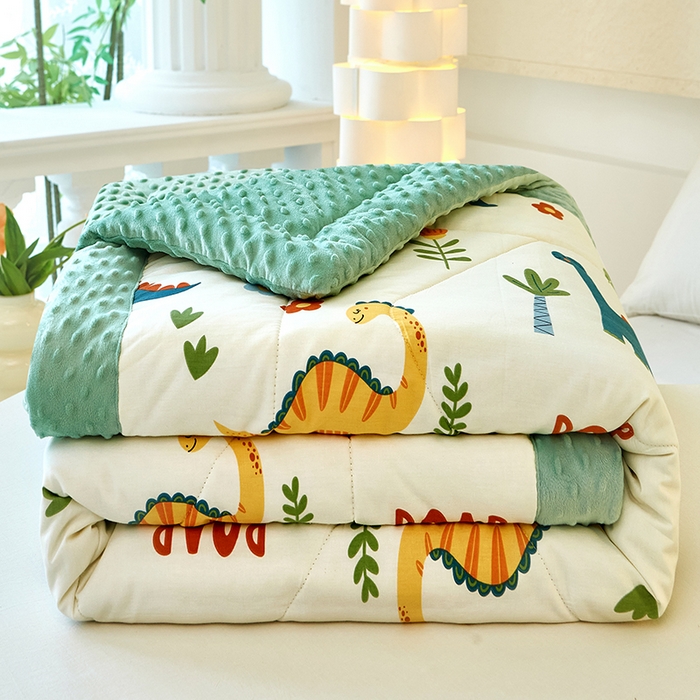 91家纺网 家纺一手货源 找家纺 黛妮雅2025新款全棉豆豆绒春秋被学生单双人被子被芯冬被（提供买家秀）恐龙谷