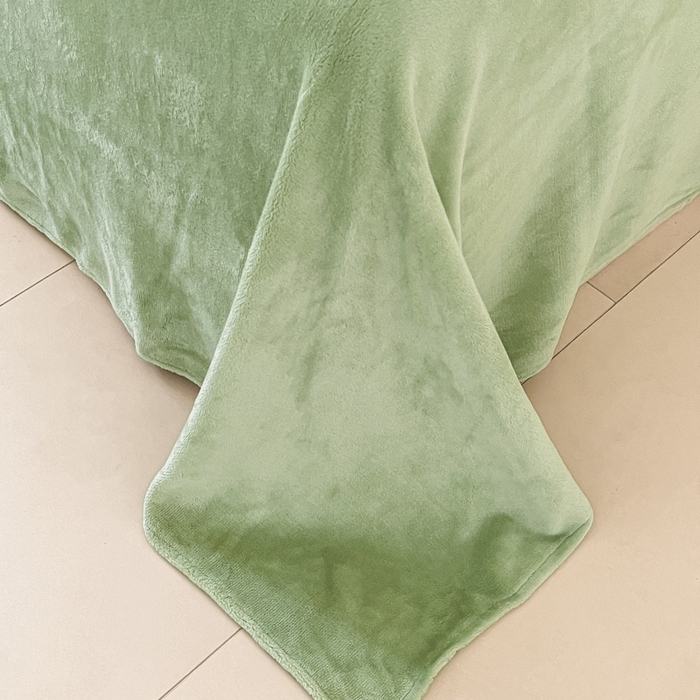 91家纺网 家纺一手货源 找家纺 ONE TWO ONE 121 2025新品牛奶绒纯色刺绣四件套-lucky刺绣系列场景二 Lucky-嫩绿