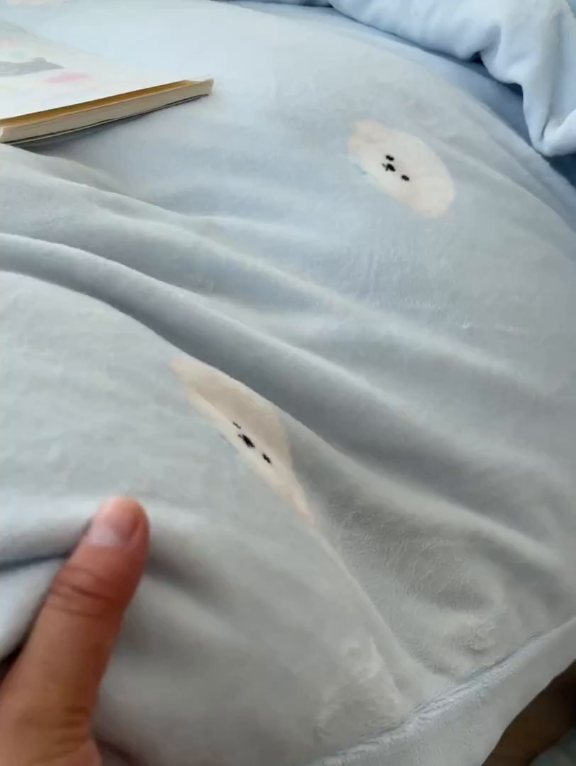 91家纺网 家纺一手货源 找家纺 韩巢家纺 2025新款双面高克重牛奶绒被套单件被罩 绒绒小狗-蓝