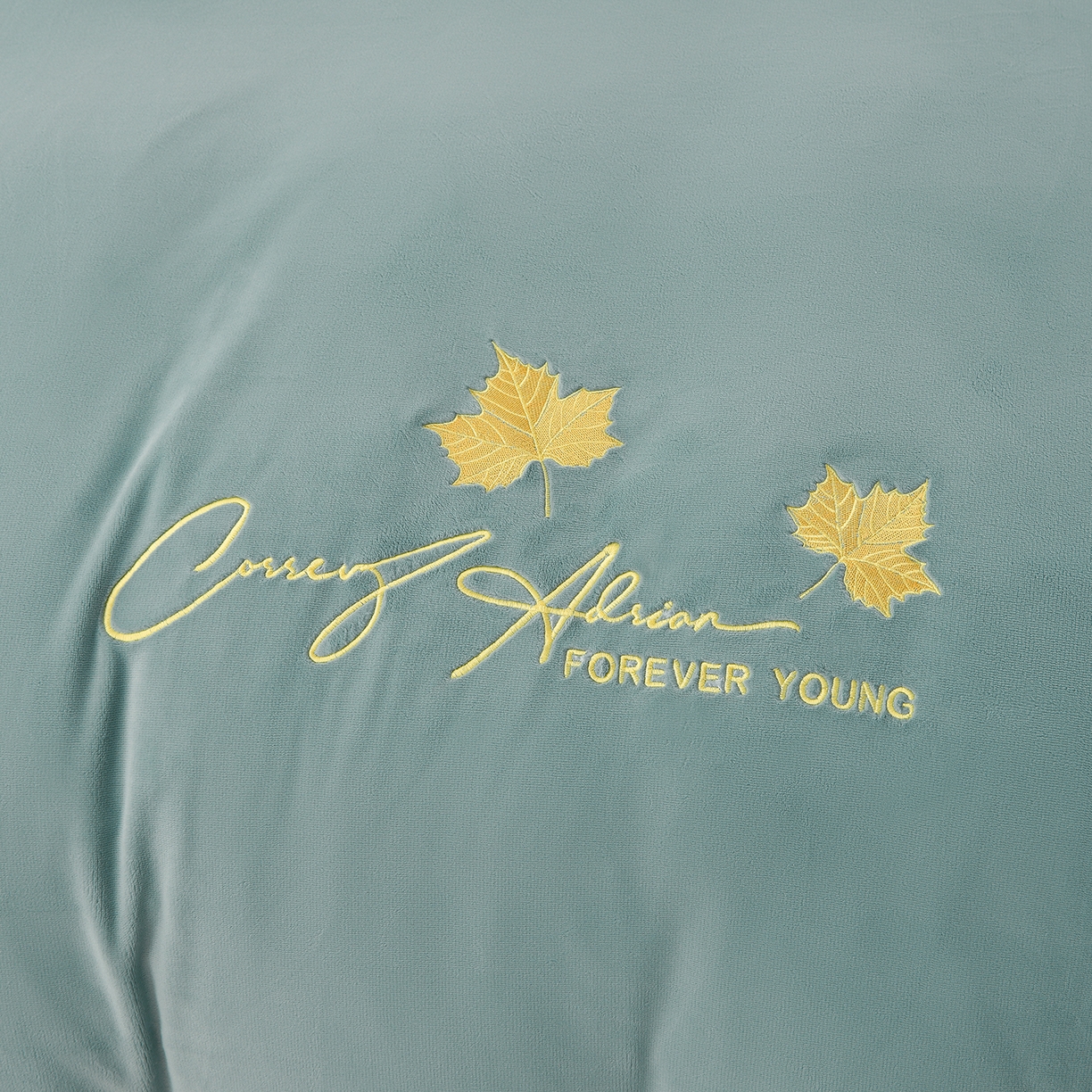 91家纺网 家纺一手货源 找家纺 湘雪家居  2025新款高克重纯色刺绣牛奶绒床盖款钟爱系列四件套-提供买家秀 钟爱款-草绿色