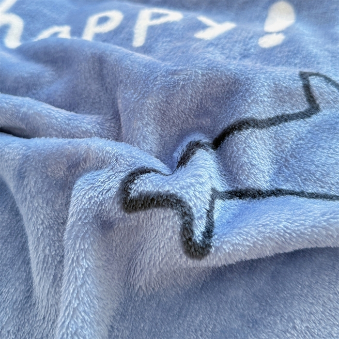 91家纺网 家纺一手货源 找家纺 梵心 2025新款云貂绒毛毯法兰绒毛毯牛奶绒毛毯爆款盖毯直播跨境专供-可定制克重 蓝鲸