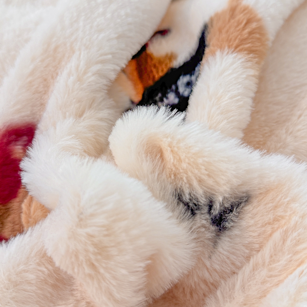 91家纺网 家纺一手货源 找家纺 KA家纺 2025新款冬高克重兔毛牛奶绒四件套 腊肠狗